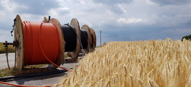 Trommeln mit Glasfaserkabeln am Rand eines Weizenfeldes