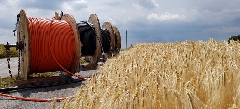 Trommeln mit Glasfaserkabeln am Rand eines Weizenfeldes