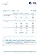 Konditionenübersicht der IB.SH-Immobilienprodukte für Privatpersonen herunterladen