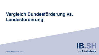 Vergleich Bundesförderung vs. Landesförderung herunterladen
