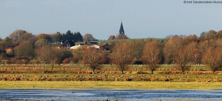 Marienkirche in Sandesneben