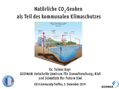 Natürliche CO2-Senken als Teil des kommunalen Klimaschutzes herunterladen